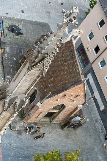 Münsterdach Führung-134