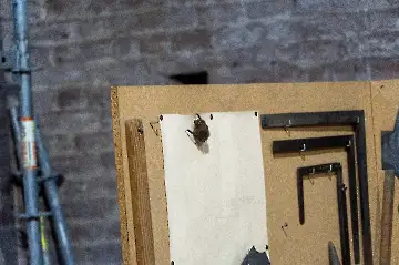 Münsterdach Führung-77