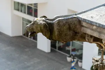 Münsterdach Führung-79