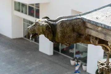 Münsterdach Führung-80