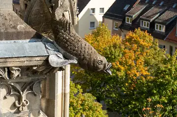 Münsterdach Führung-83