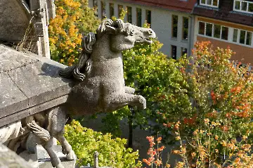 Münsterdach Führung-88