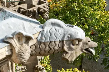 Münsterdach Führung-89