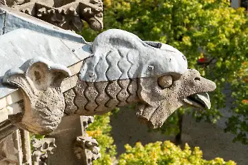 Münsterdach Führung-90