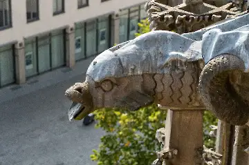 Münsterdach Führung-91