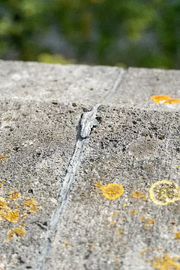 Münsterdach Führung-92