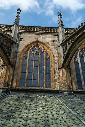 Münsterdach Führung-93