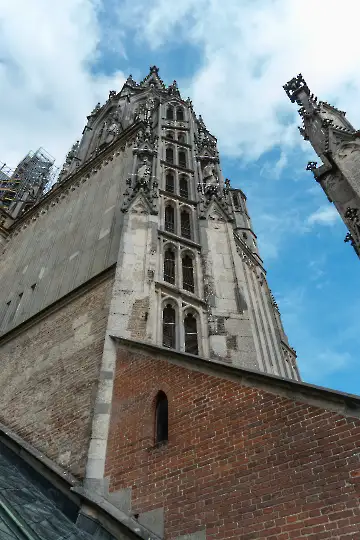 Münsterdach Führung-96