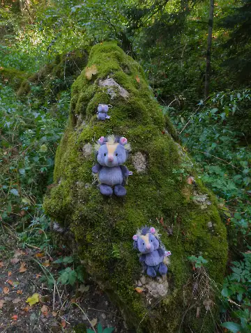 Wanderung Schertelshöhle-2