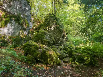 Wanderung Schertelshöhle-4