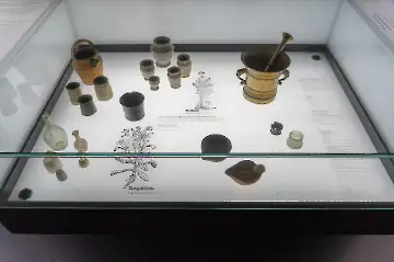 Festung Hohensalzburg-93