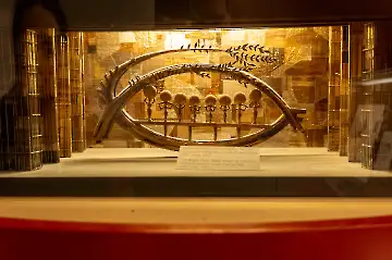 Mozart Geburtshaus-44