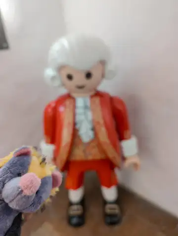 Mozart Geburtshaus-60