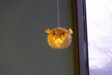 Museum der modernen Kunst-29