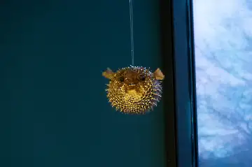 Museum der modernen Kunst-30