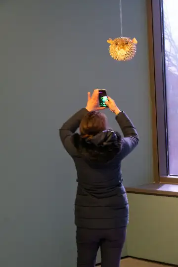 Museum der modernen Kunst-31