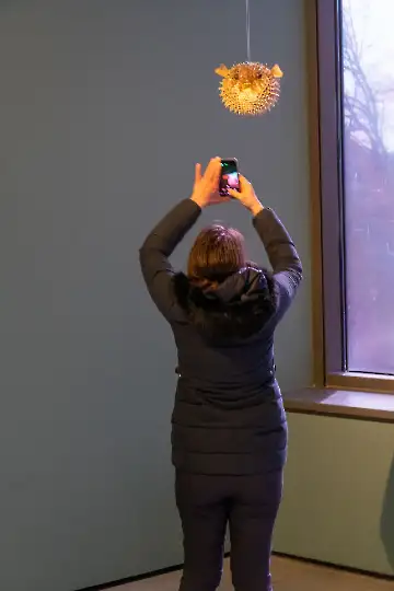 Museum der modernen Kunst-32