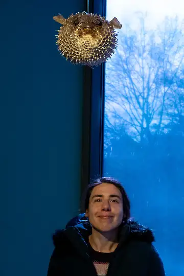 Museum der modernen Kunst-33