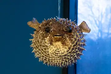 Museum der modernen Kunst-36