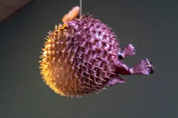 Museum der modernen Kunst-37