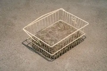 Museum der modernen Kunst-41