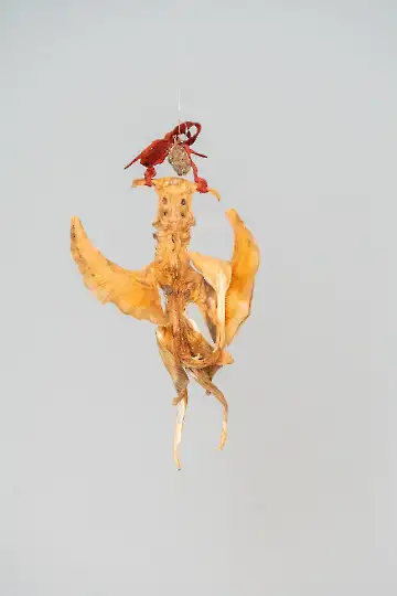 Museum der modernen Kunst-44