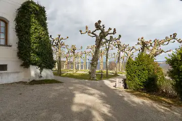 Neues Schloss Herrenchiemsee-33