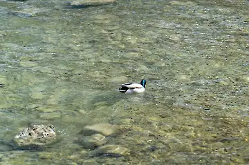 Neues Schloss Herrenchiemsee-43