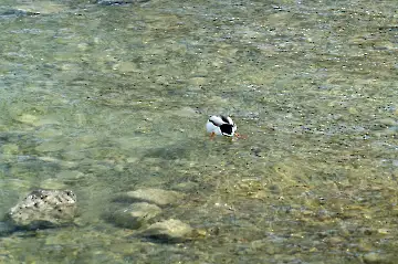 Neues Schloss Herrenchiemsee-44