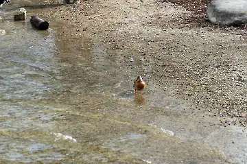 Neues Schloss Herrenchiemsee-45