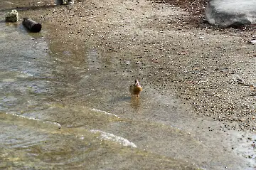 Neues Schloss Herrenchiemsee-46